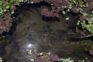 archivo fotografico de felipe garcia 124 124 20241103