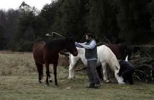 archivo fotografico de felipe garcia 148 148 20241103