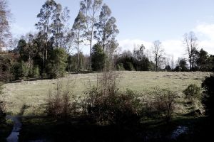 archivo fotografico de felipe garcia 150 150 20241103