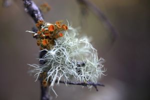 archivo fotografico de felipe garcia 159 159 20241103