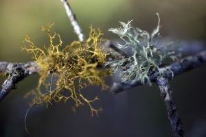 archivo fotografico de felipe garcia 160 160 20241103