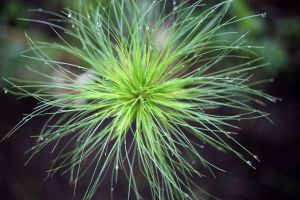 archivo fotografico de felipe garcia 161 161 20241103