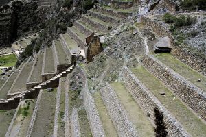 archivo fotografico de felipe garcia 184 184 20241103