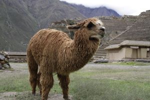 archivo fotografico de felipe garcia 185 185 20241103