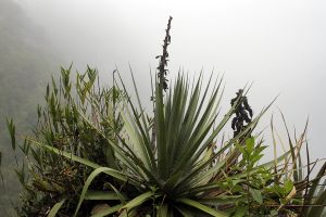 archivo fotografico de felipe garcia 193 193 20241103