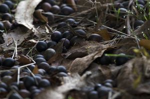 archivo fotografico de felipe garcia 216 216 20241103