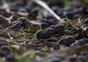 archivo fotografico de felipe garcia 217 217 20241103