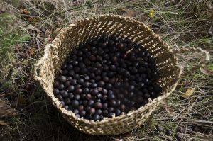 archivo fotografico de felipe garcia 220 220 20241103