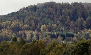 archivo fotografico de felipe garcia 224 224 20241103