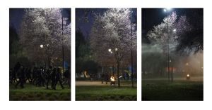 archivo fotografico de felipe garcia 228 228 20241103