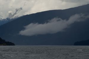 archivo fotografico de felipe garcia 239 239 20241103