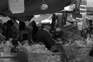 archivo fotografico de felipe garcia 24 24 20241103