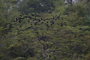 archivo fotografico de felipe garcia 241 241 20241103