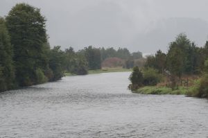 archivo fotografico de felipe garcia 242 242 20241103