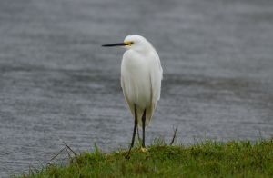 archivo fotografico de felipe garcia 247 247 20241103