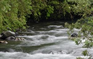 archivo fotografico de felipe garcia 259 259 20241103