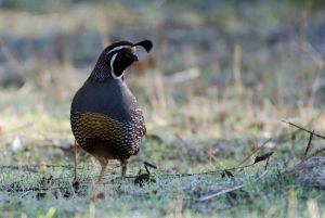 archivo fotografico de felipe garcia 276 276 20241103