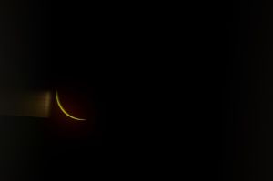 archivo fotografico de felipe garcia 287 287 20241103