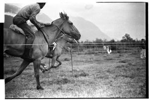 archivo fotografico de felipe garcia 3 3 20241103