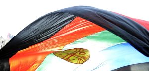 archivo fotografico de felipe garcia 307 307 20241103