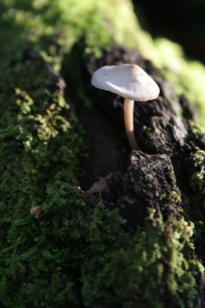 archivo fotografico de felipe garcia 40 40 20241103