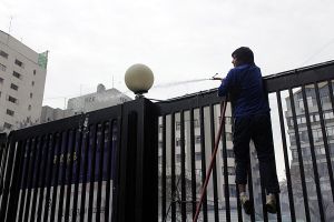 archivo fotografico de felipe garcia 61 61 20241103