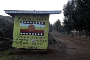 archivo fotografico de felipe garcia 85 85 20241103